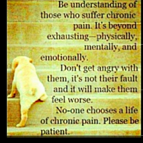 National Audubon Society Field Guide to North American Birds : Eastern Region EC - Picture 11 of 16